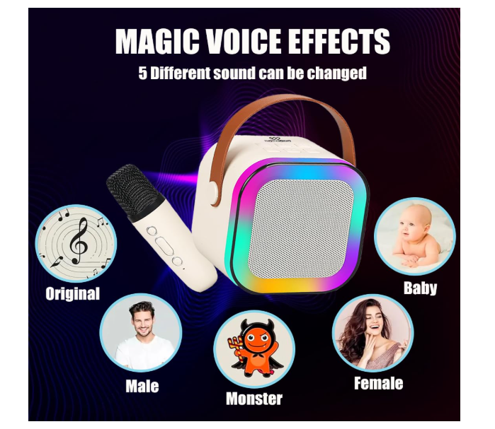 Wembley Rechargeable Karaoke Mic with Speaker for Singing